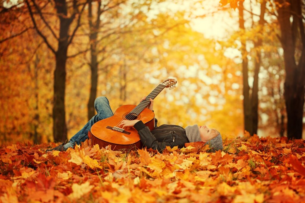 fall foliage, leaves, guitar